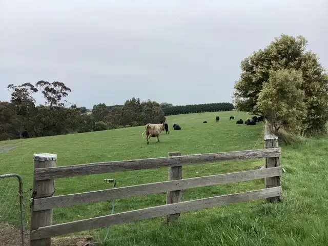 Fifth view of Homely rural property listing, 236 Morrisons Lane, Korobeit VIC 3341