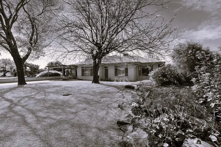 1363 Bookpurnong Road, Loxton SA 5333