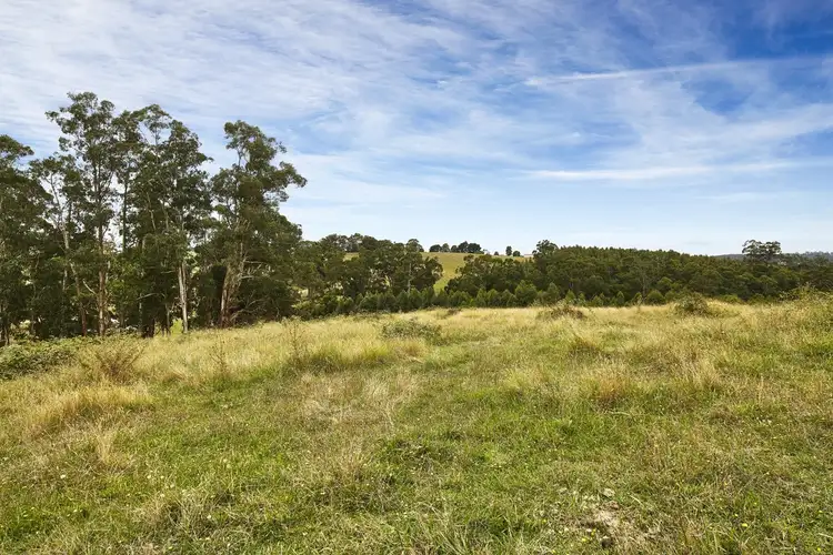 135 Mason Road, Jindivick VIC 3818