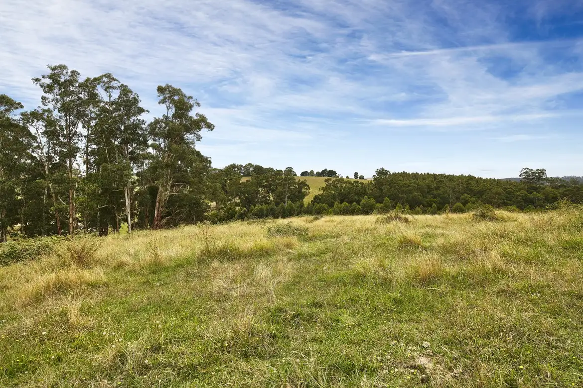 Main view of Homely rural property listing, 135 Mason Road, Jindivick VIC 3818