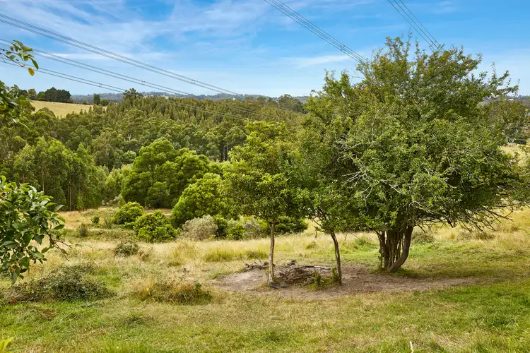 Fourth view of Homely rural property listing, 135 Mason Road, Jindivick VIC 3818