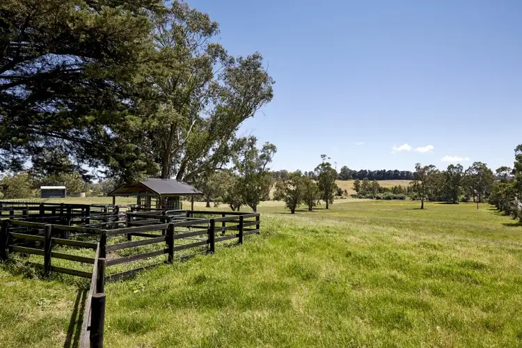 Main view of Homely rural property listing, 635 Main Neerim Road, Drouin West VIC 3818