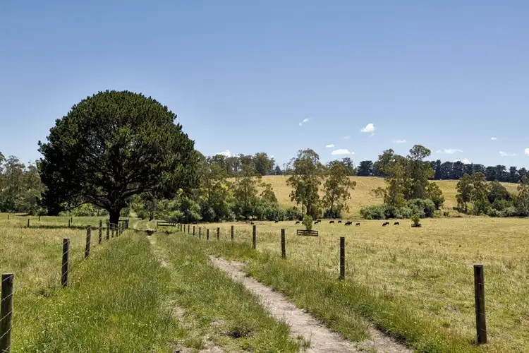 Third view of Homely rural property listing, 635 Main Neerim Road, Drouin West VIC 3818