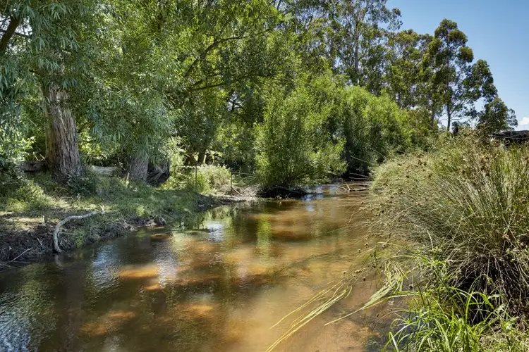 Fifth view of Homely rural property listing, 635 Main Neerim Road, Drouin West VIC 3818