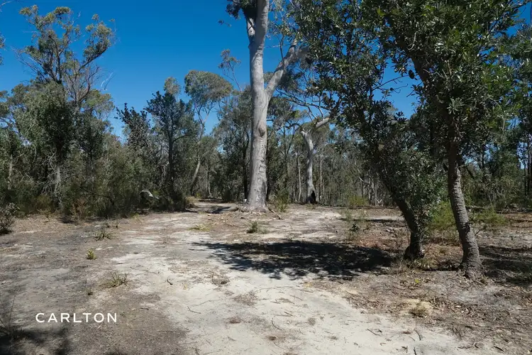 Fifth view of Homely land listing, 80 Wattle Ridge Road, Hill Top NSW 2575