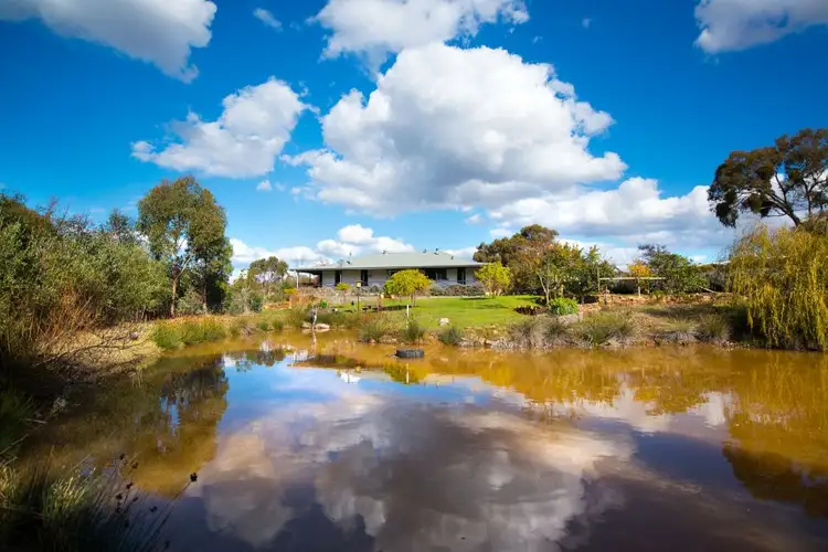 Main view of Homely house listing, 245 Whitegum Road, Barkers Creek VIC 3451