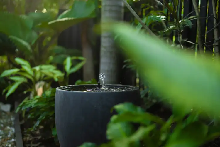 Fifth view of Homely house listing, 3 Ewan Glen, Trinity Park QLD 4879