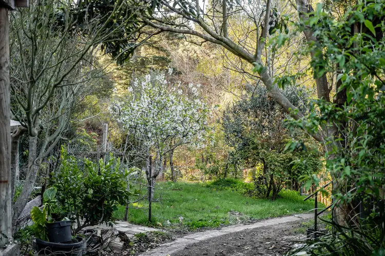 Fifth view of Homely land listing, 284 Mount Barker Road, Aldgate SA 5154