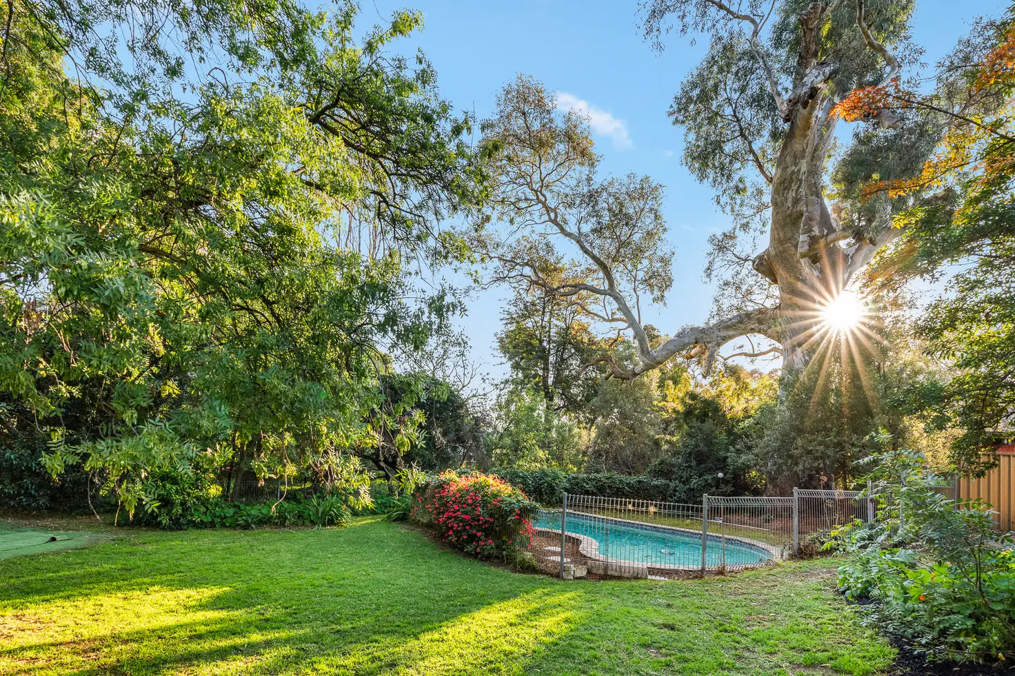 Main view of Homely house listing, 22 Ayr Avenue, Torrens Park SA 5062