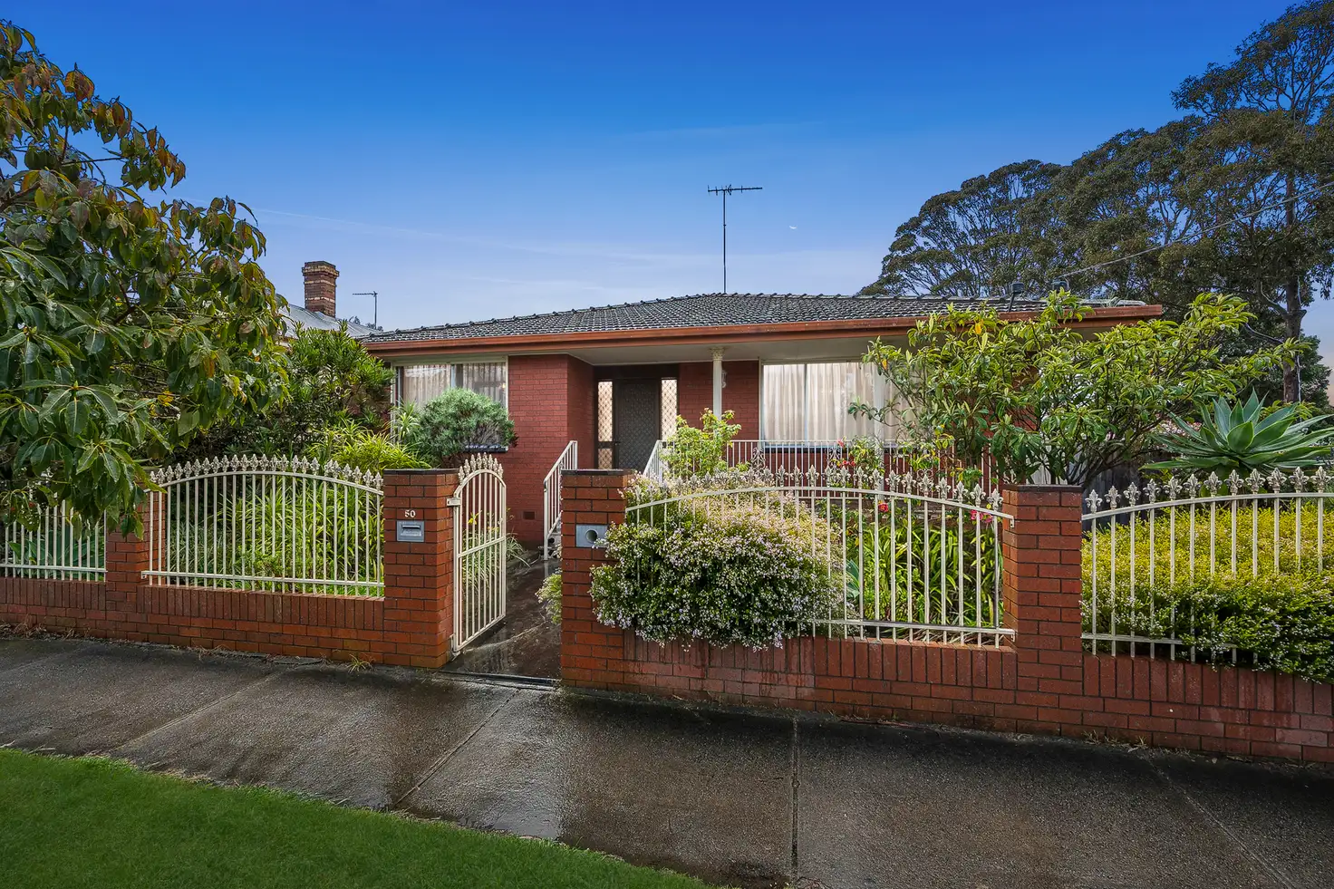 Main view of Homely house listing, 50 Sharp Street, Newtown VIC 3220