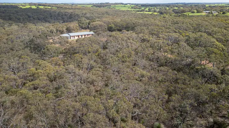 Second view of Homely rural property listing, 441 WETHERALLS Road, Duncan SA 5223