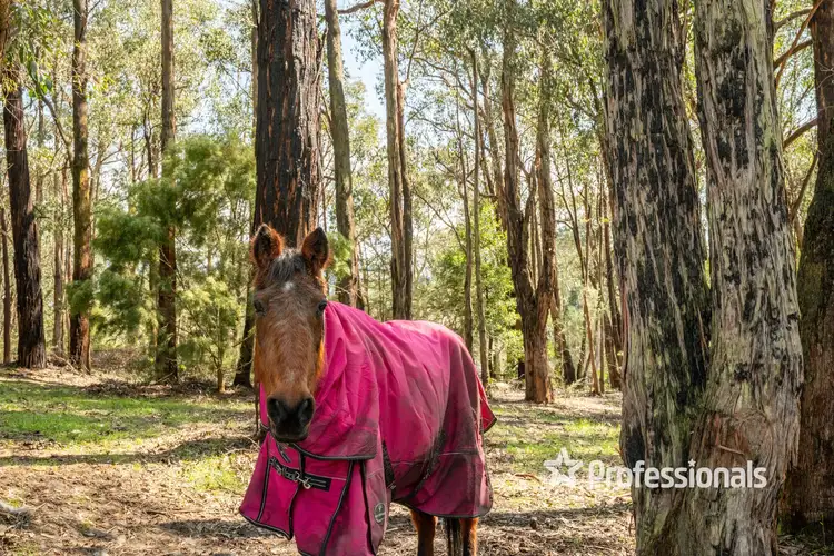 Third view of Homely land listing, 3 Hillcrest Drive, Mcmahons Creek VIC 3799