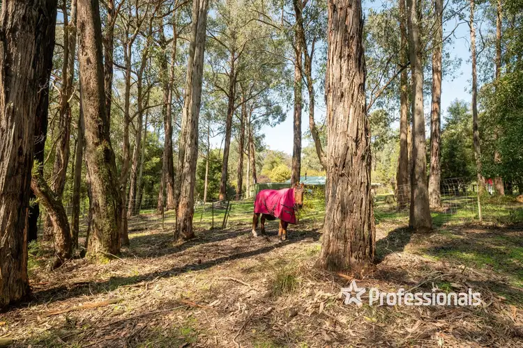 Sixth view of Homely land listing, 3 Hillcrest Drive, Mcmahons Creek VIC 3799