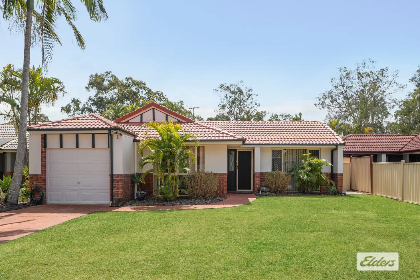 Main view of Homely house listing, 36 Kawana Crescent, Cornubia QLD 4130