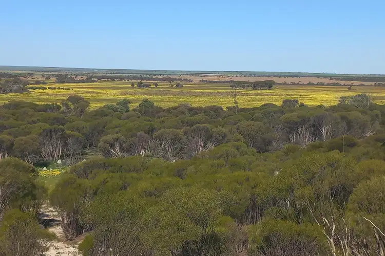 Main view of Homely rural property listing, 998 Watson Road, Latham WA 6616
