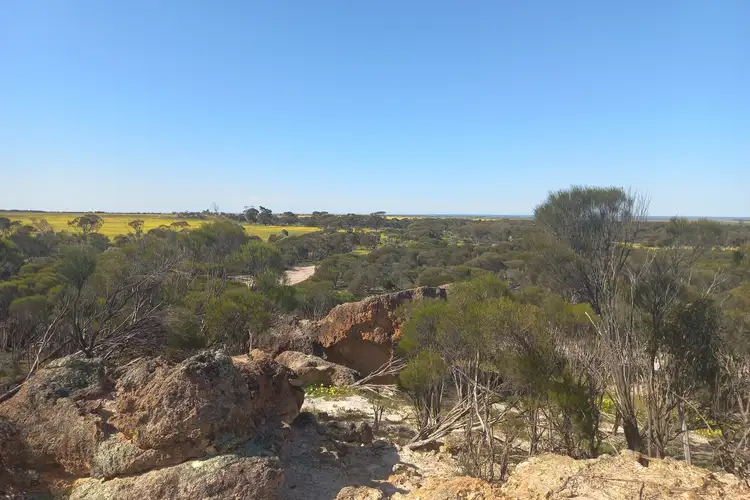 Second view of Homely rural property listing, 998 Watson Road, Latham WA 6616