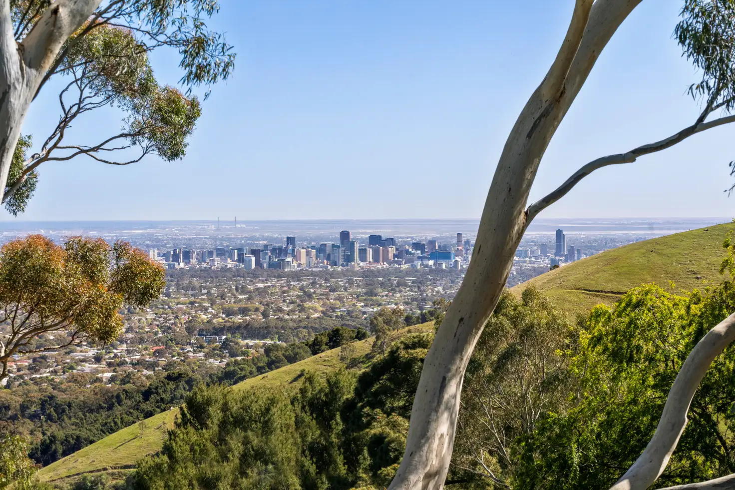 Main view of Homely house listing, 13 Francis Street, Belair SA 5052