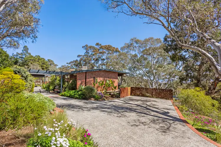 Second view of Homely house listing, 13 Francis Street, Belair SA 5052