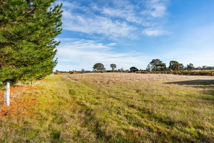 Fifth view of Homely house listing, 80 Harold Road, Elphinstone VIC 3448