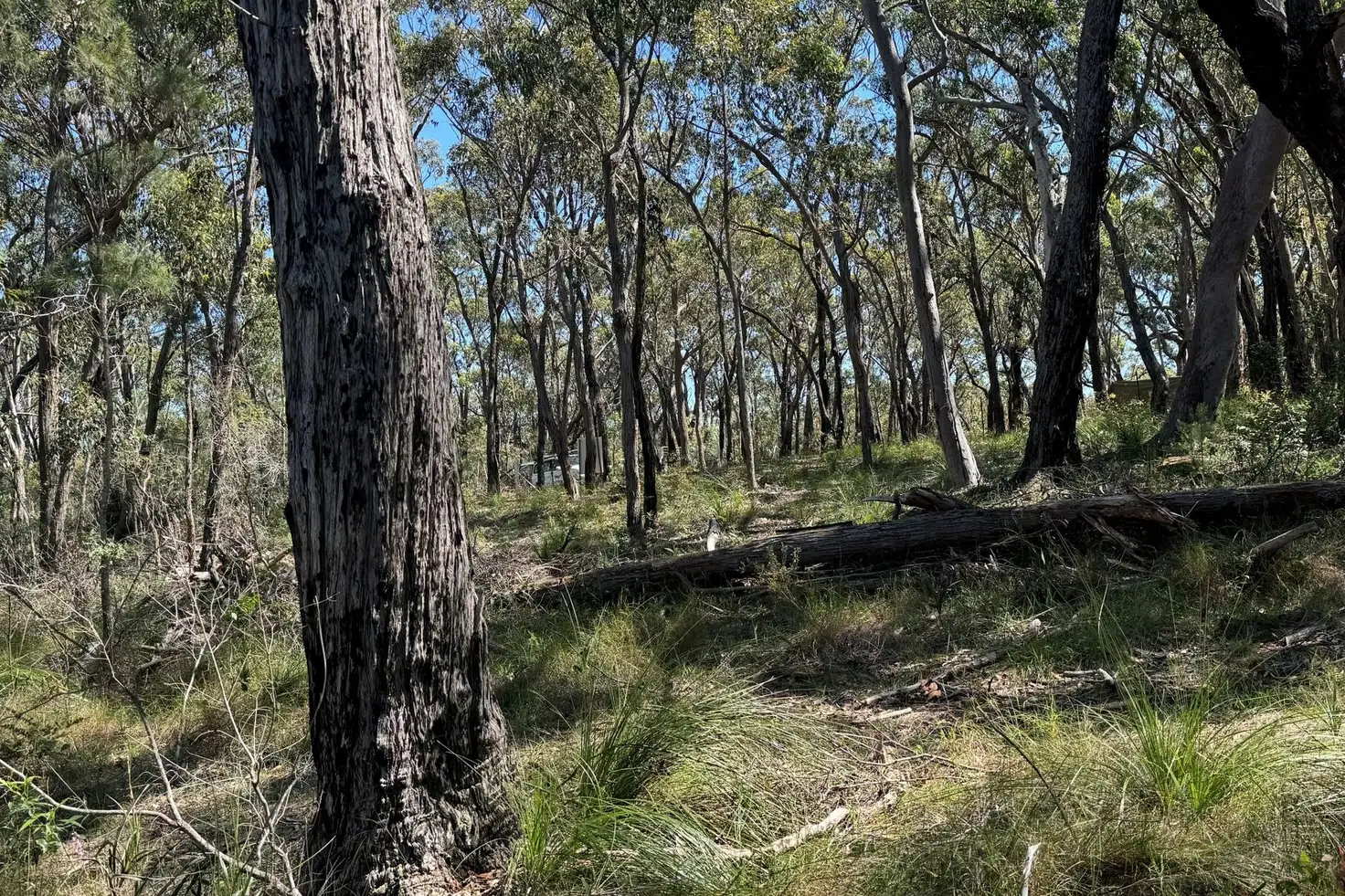 Main view of Homely land listing, LOT 22 Carrington Avenue, Pindimar NSW 2324