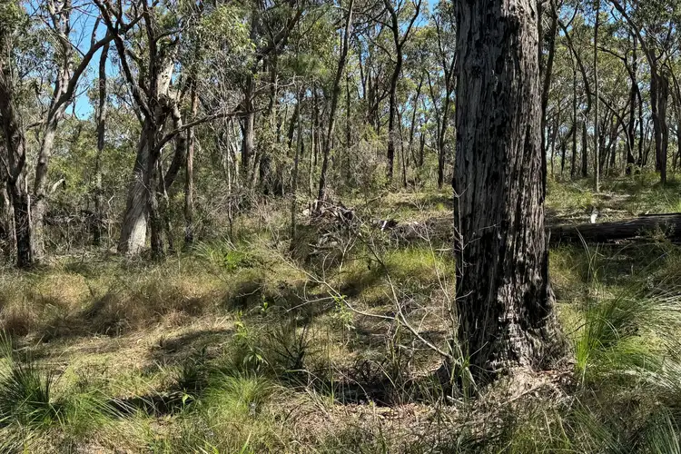 Fifth view of Homely land listing, LOT 22 Carrington Avenue, Pindimar NSW 2324