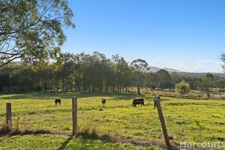 Third view of Homely rural property listing, 1343 Gowings Hill Road, Sherwood NSW 2440