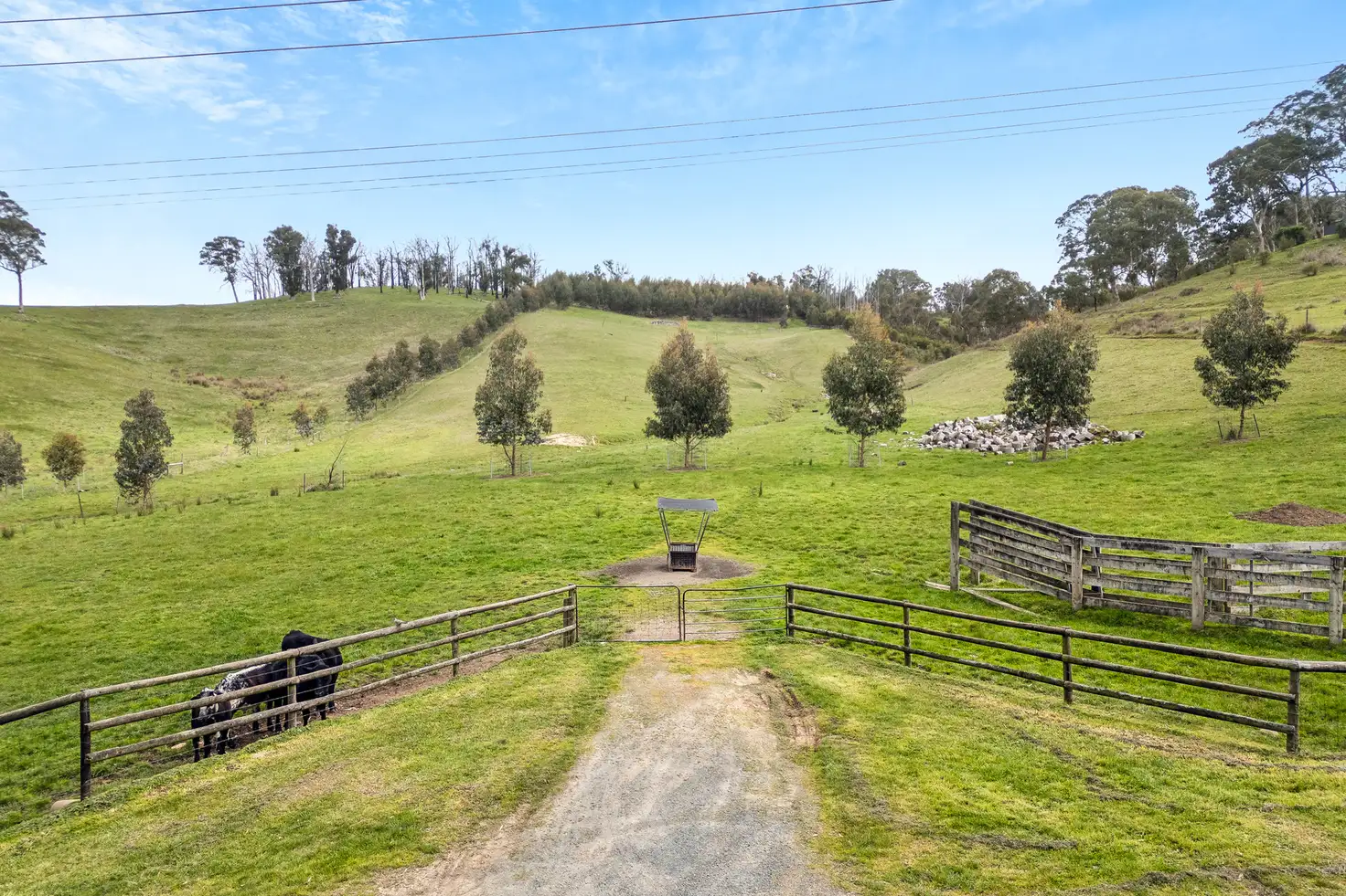 Main view of Homely land listing, Lot 14 Neudorf Road, Lobethal SA 5241