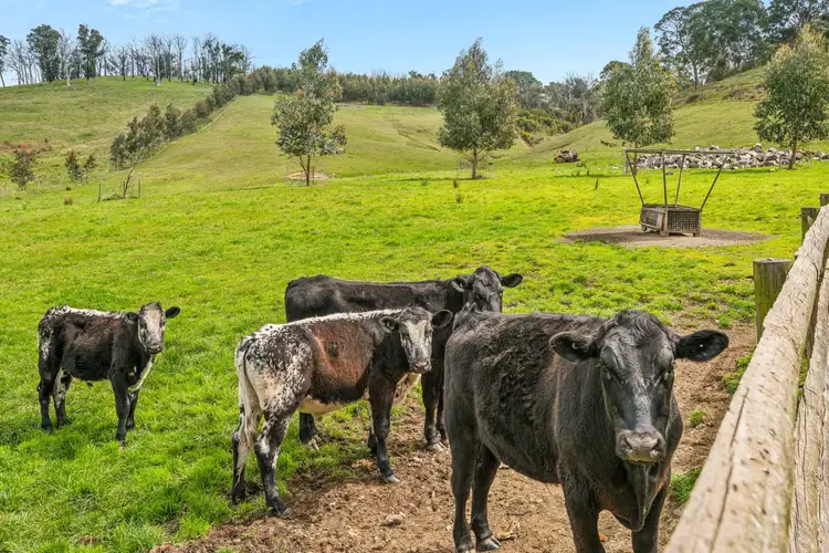 Third view of Homely land listing, Lot 14 Neudorf Road, Lobethal SA 5241