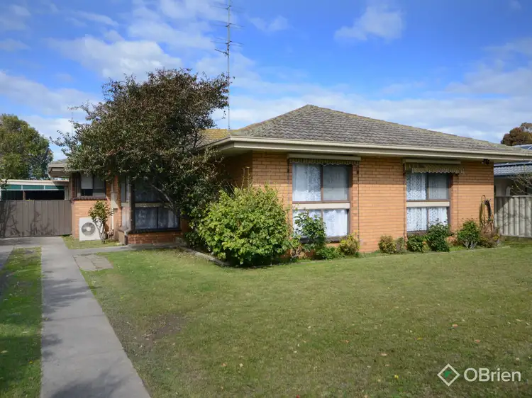 Main view of Homely house listing, 20 Allison Court, Bairnsdale VIC 3875