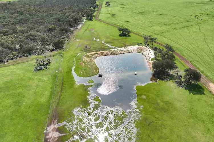 Sixth view of Homely rural property listing, 2448 East West One Highway, Newland SA 5223