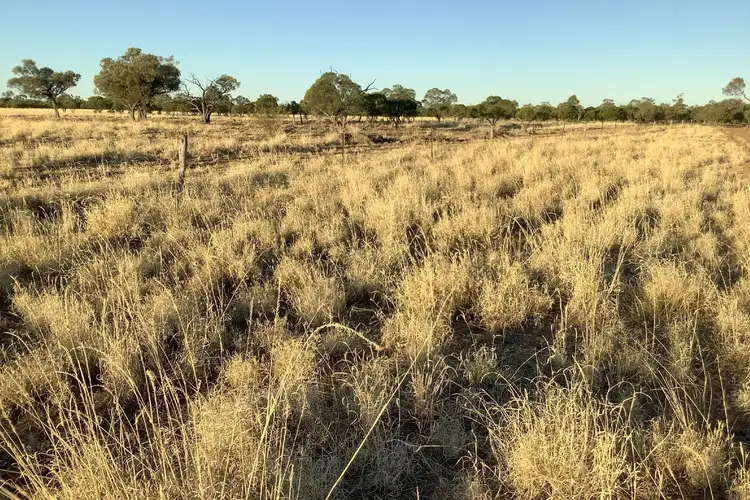 Second view of Homely rural property listing, 4080 Cramsie Muttaburra Road, Longreach QLD 4730