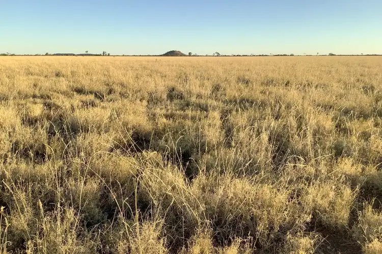 Fourth view of Homely rural property listing, 4080 Cramsie Muttaburra Road, Longreach QLD 4730