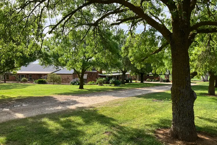 Fifth view of Homely house listing, 102 Robert Steele Road, Seppeltsfield SA 5355