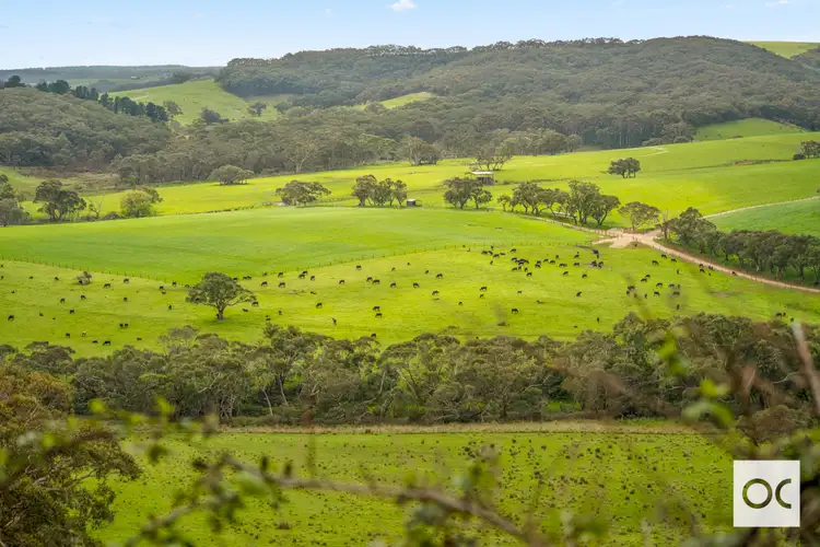 Sixth view of Homely rural property listing, 107 Scott Road, Yundi SA 5172