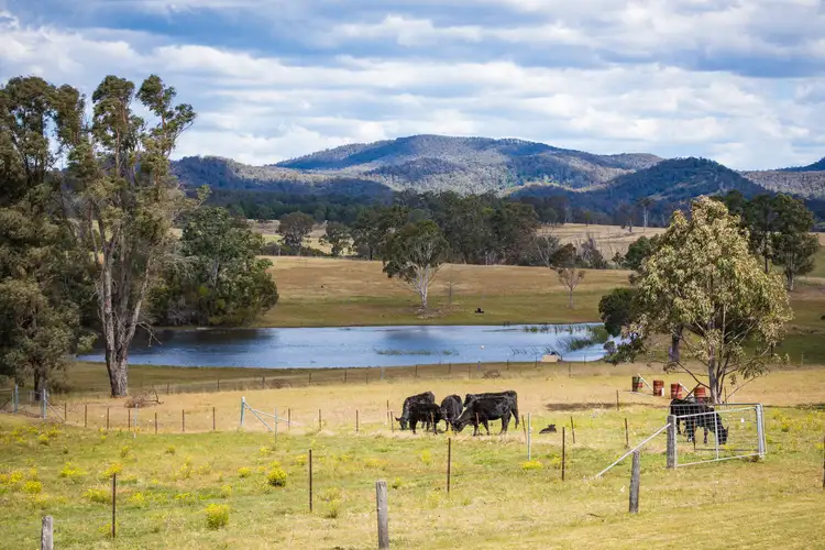 Second view of Homely house listing, 73 Cherry Lane, Wolumla NSW 2550