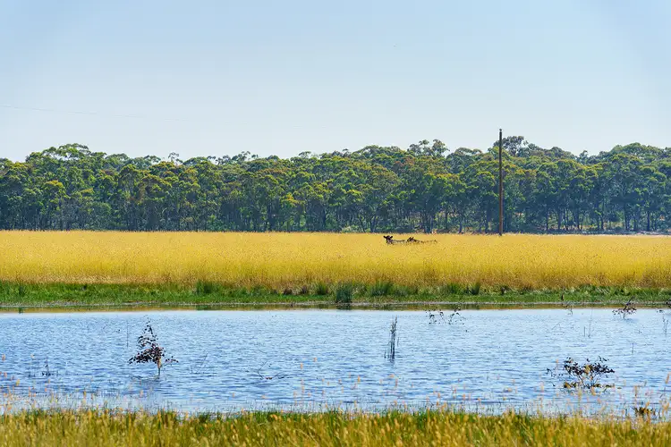 Seventh view of Homely land listing, CA15B, 510 Talbot-Mt Cameron Road, Red Lion VIC 3371