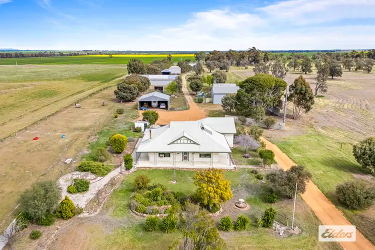 Main view of Homely rural property listing, 195 Auvergne Road, Marnoo VIC 3387