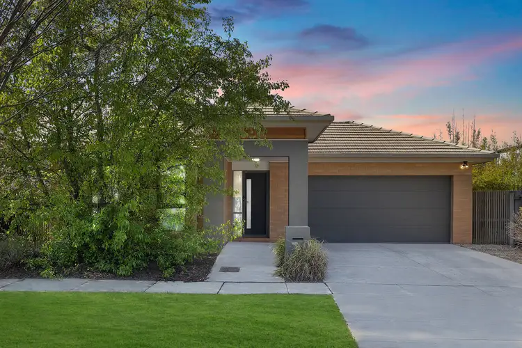 16 Paquita Street, Forde ACT 2914