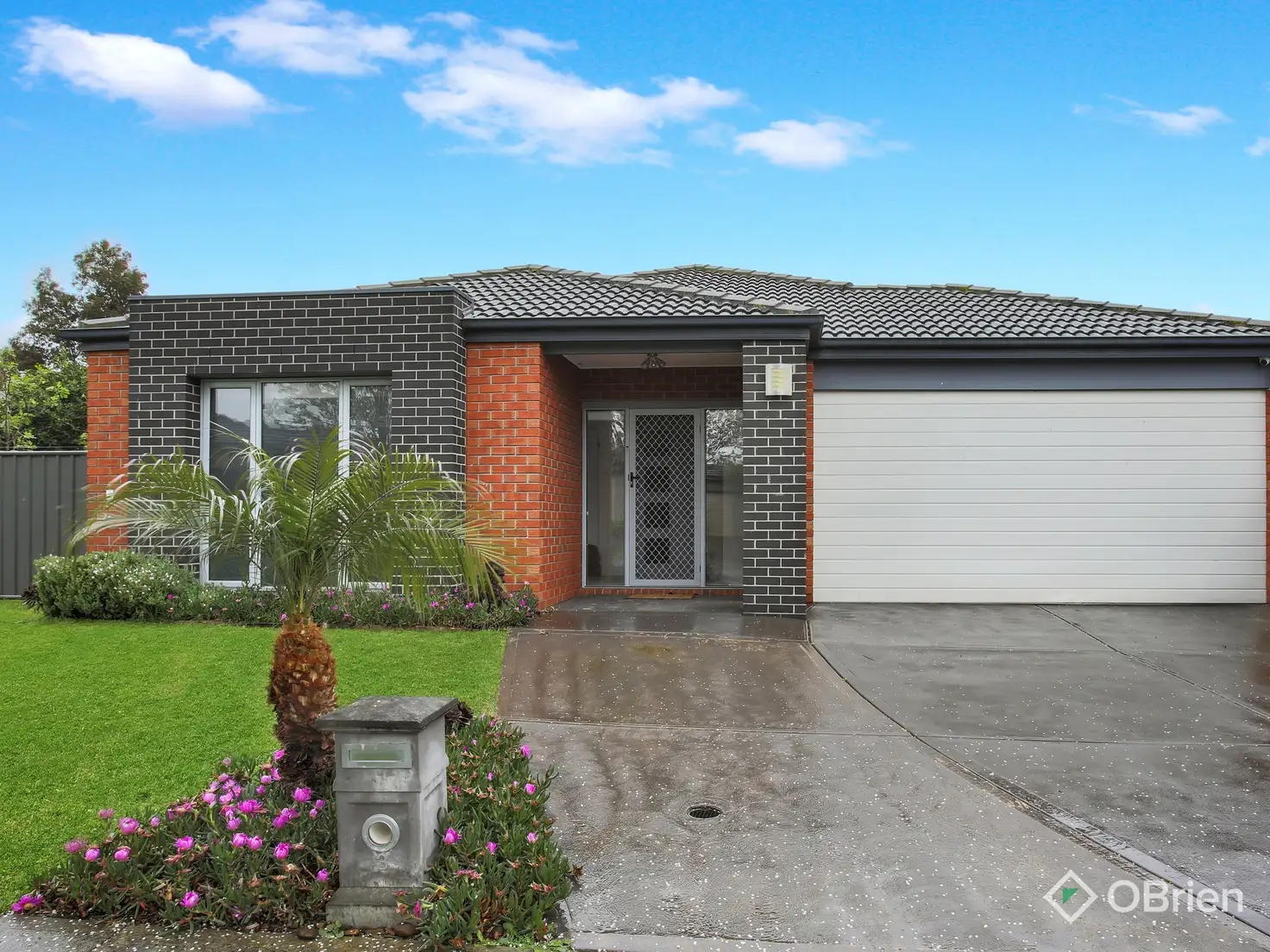 Main view of Homely house listing, 3 Abrus Circuit, Cranbourne North VIC 3977