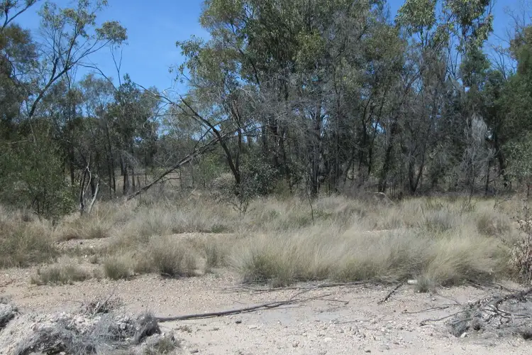 Second view of Homely rural property listing, Lot 30 Males Drive, Tara QLD 4421
