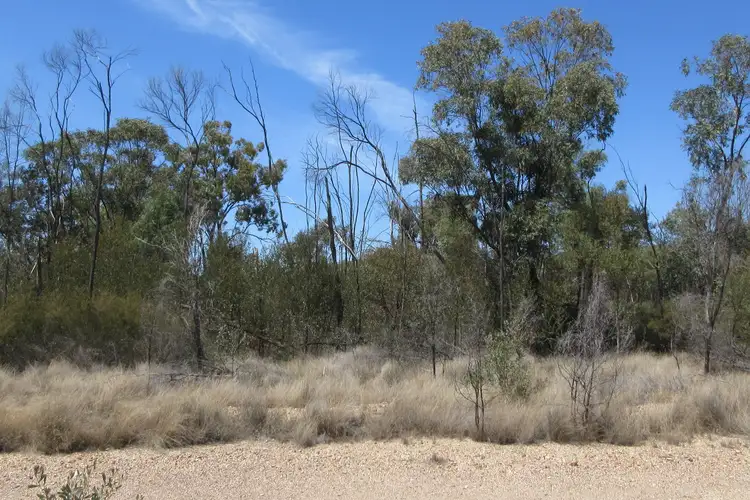 Third view of Homely rural property listing, Lot 30 Males Drive, Tara QLD 4421