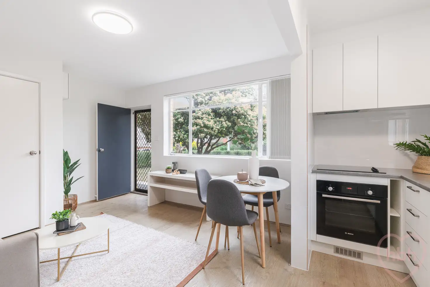 Main view of Homely apartment listing, 1/156 Knox Street, Watson ACT 2602