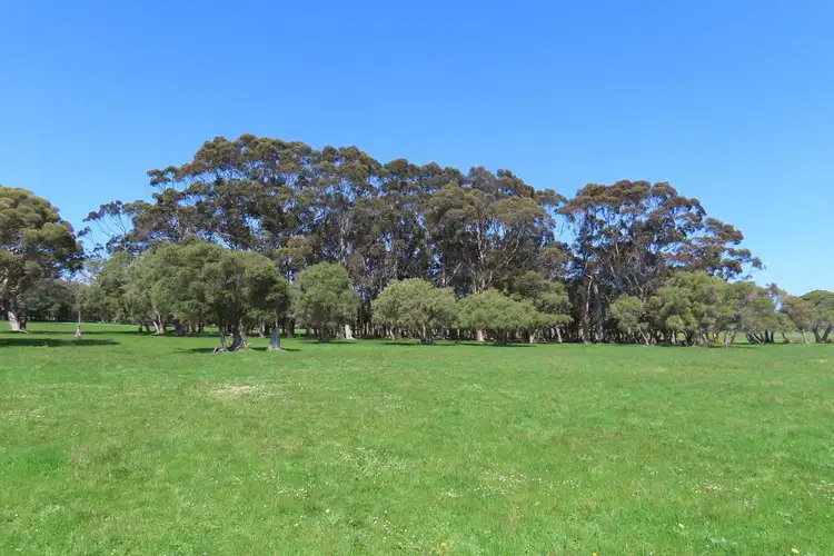 Fifth view of Homely rural property listing, Address available on request
