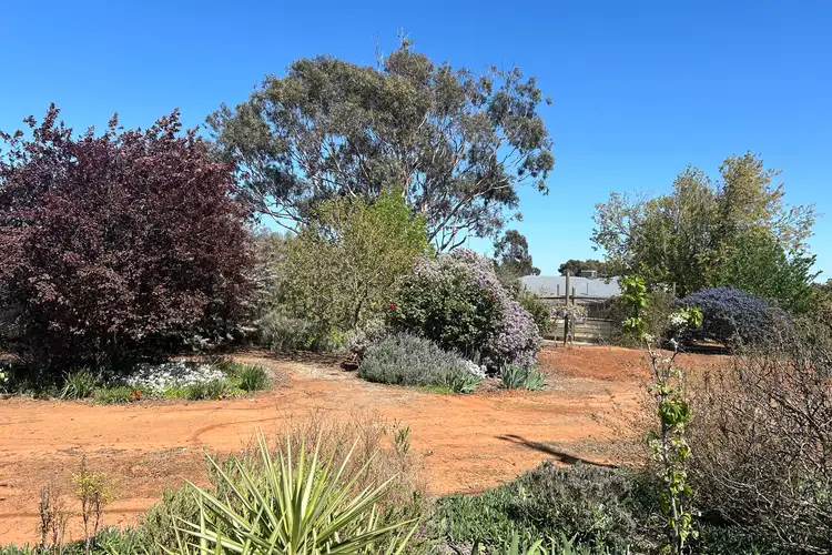 Fourth view of Homely land listing, LOT 29 South Terrace, Farrell Flat SA 5416