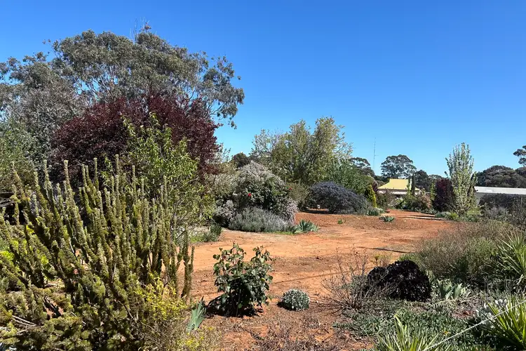Fifth view of Homely land listing, LOT 29 South Terrace, Farrell Flat SA 5416
