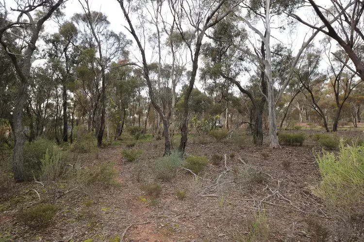 LOT 11 Canning Street, Tarnagulla VIC 3551