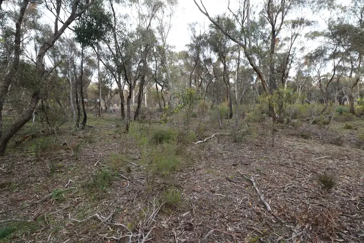 Fifth view of Homely rural property listing, LOT 11 Canning Street, Tarnagulla VIC 3551
