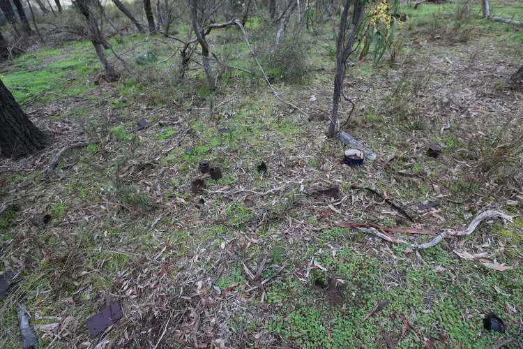 Sixth view of Homely rural property listing, LOT 11 Canning Street, Tarnagulla VIC 3551