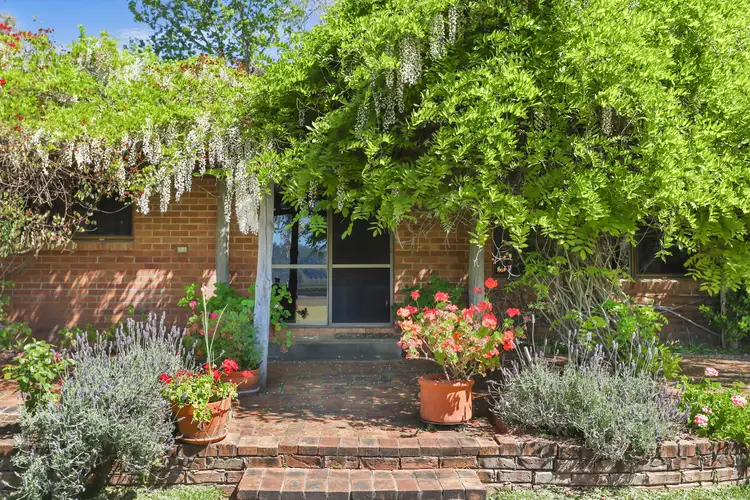 Third view of Homely rural property listing, 996 Gundy Road, Scone NSW 2337