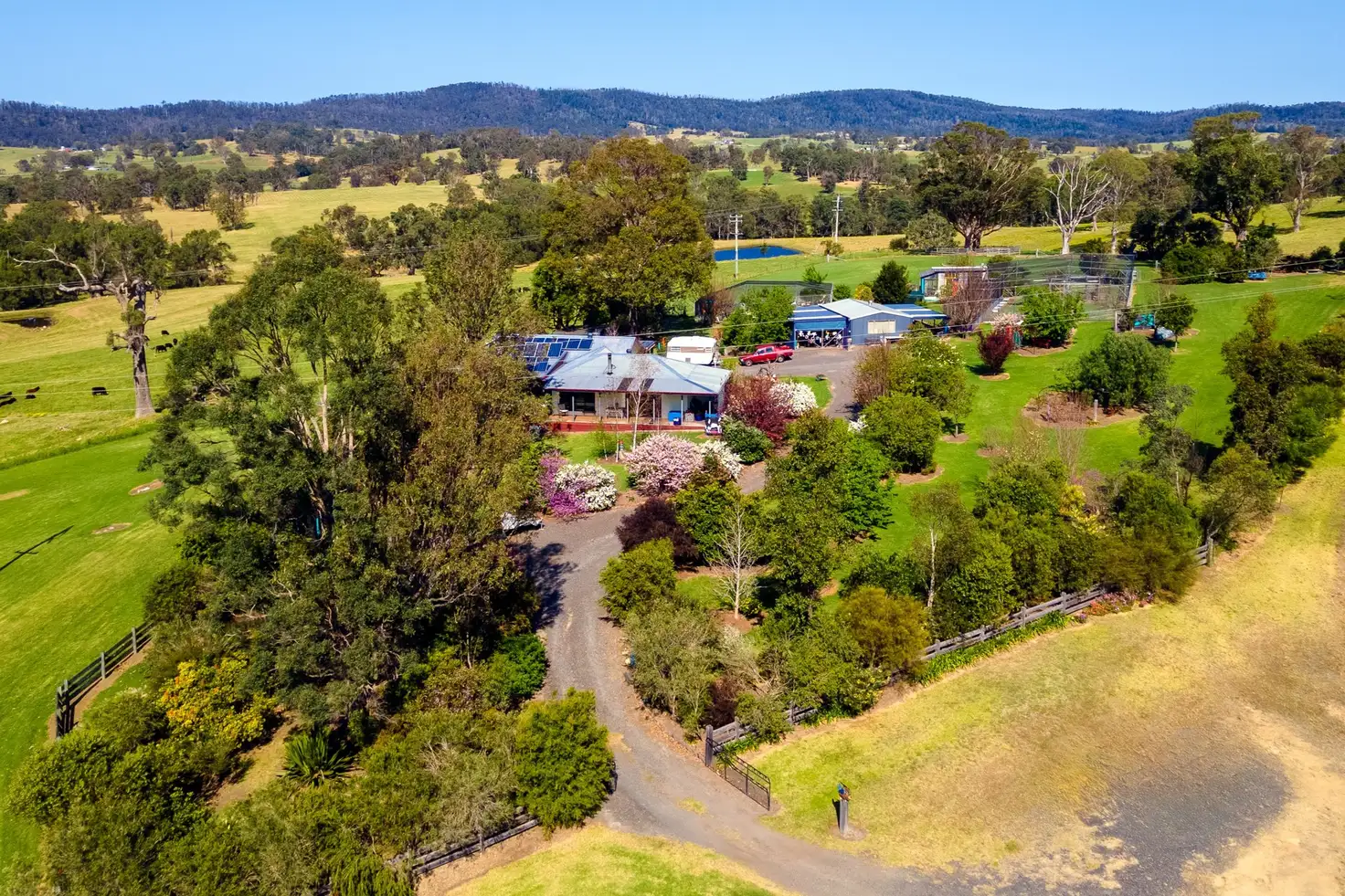 Main view of Homely rural property listing, 943 Cobargo Bermagui Road, Coolagolite NSW 2550